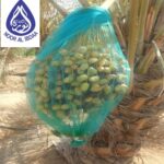 Dates Cover Net - Ultimate Protection for Your Dates