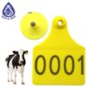 animal ear RFID tag - noor al ibdaa